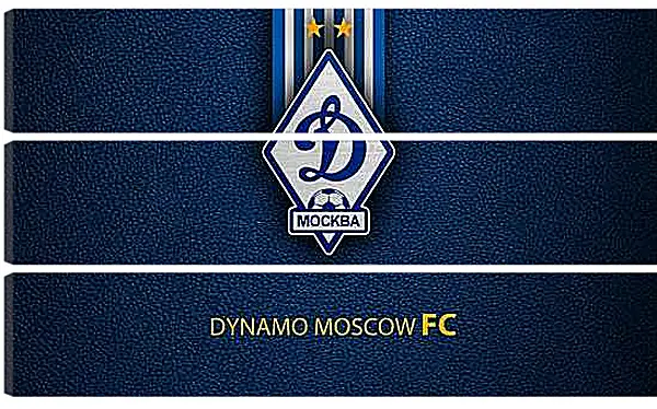 Модульная картина - Эмблема ФК Динамо Москва