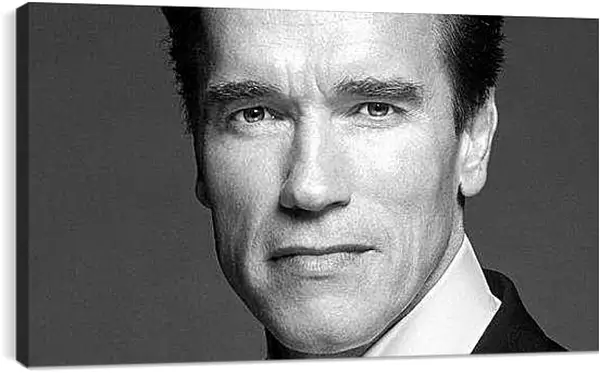 Постер на подрамнике - Арнольд Шварценеггер (Arnold Schwarzenegger)