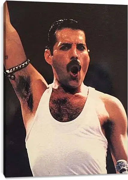 Постер на подрамнике - Фреди Меркьюри