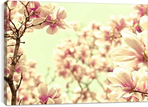 Постер на подрамнике - Розовый цвет