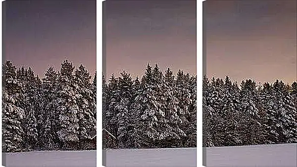 Модульная картина - Зима