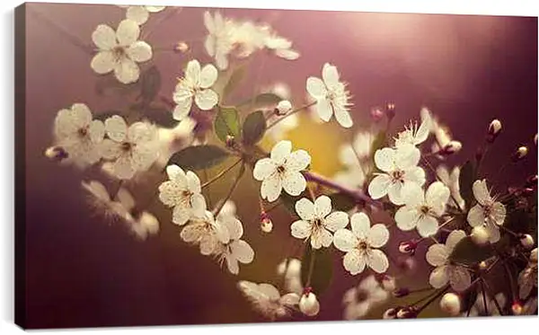 Постер на подрамнике - Весна