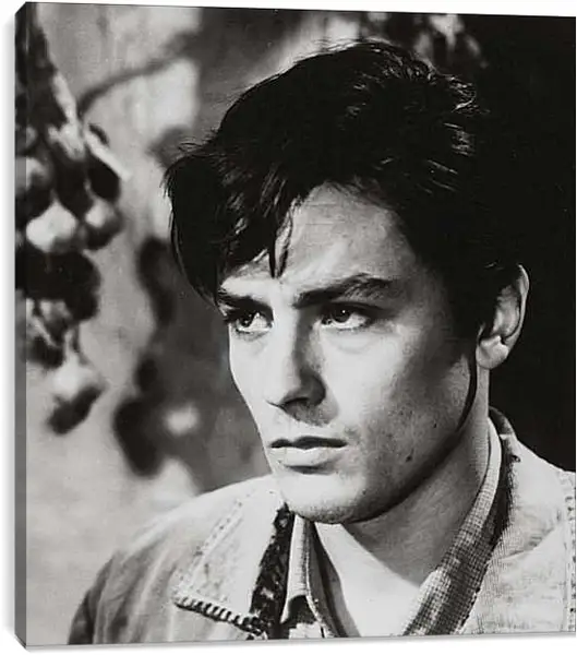 Постер на подрамнике - Ален Делон. Alain Delon