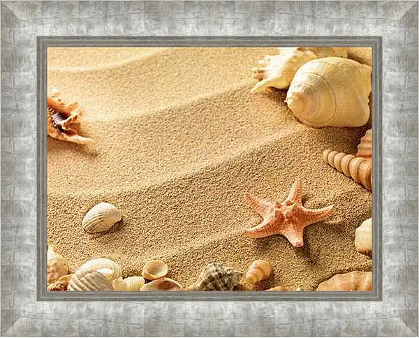 Картина в раме - Ракушки на пляже