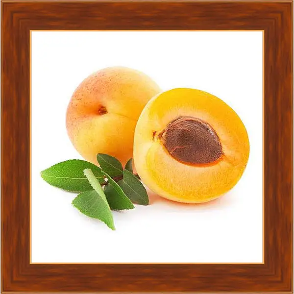 Картина в раме - Солнечные абрикосы.