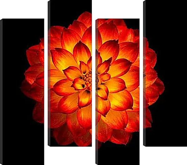 Модульная картина - Огненный георгин