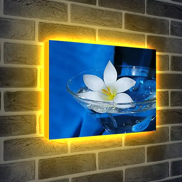 Лайтбокс световая панель - Лилии