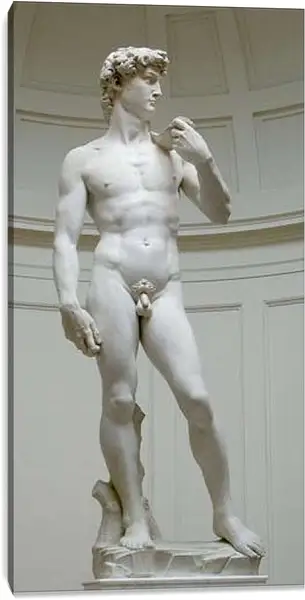 Постер на подрамнике - Давид. Микеланджело Буонарроти