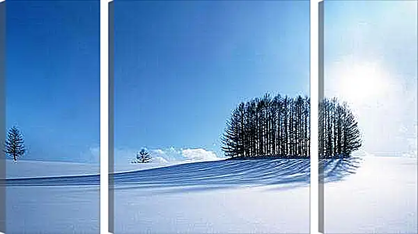 Модульная картина - Зима