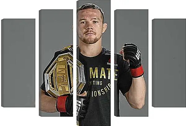 Модульная картина - UFC. MMA. Пётр Ян