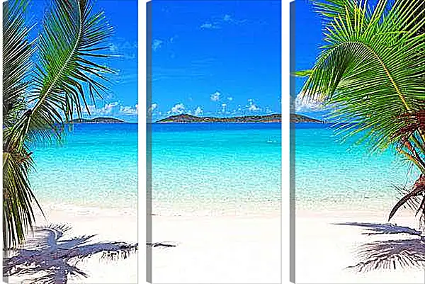Модульная картина - Пальмы и море