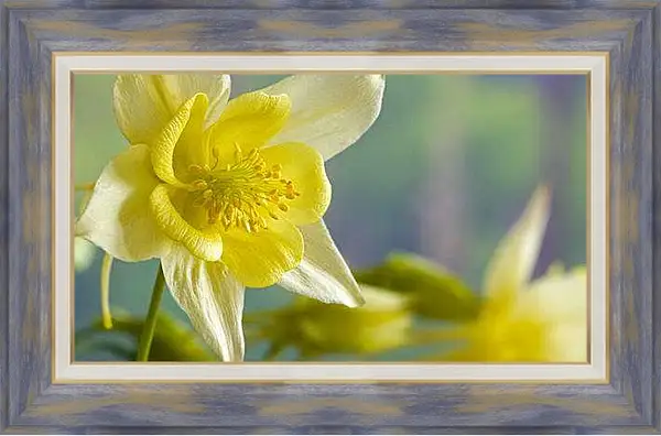 Картина в раме - Весна