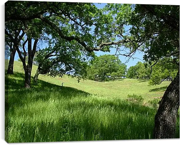 Постер на подрамнике - Поляна