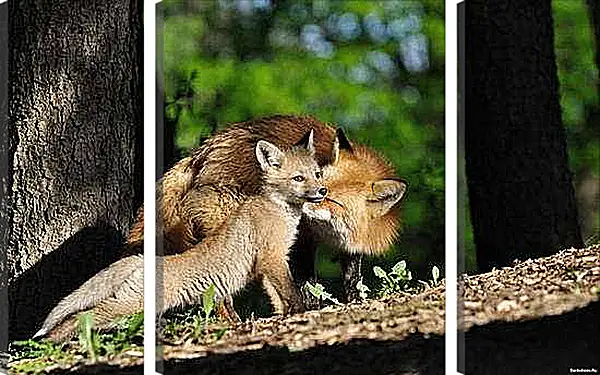 Модульная картина - Лисы. Мама и детеныш