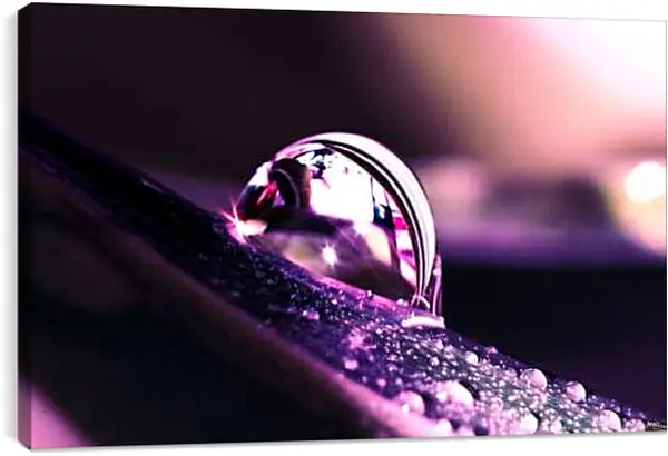 Постер на подрамнике - Капля росы