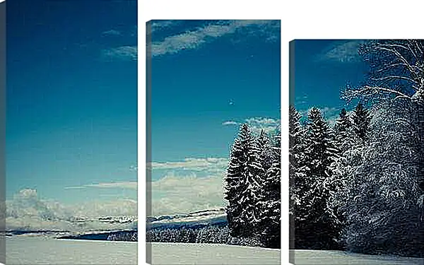 Модульная картина - Зима