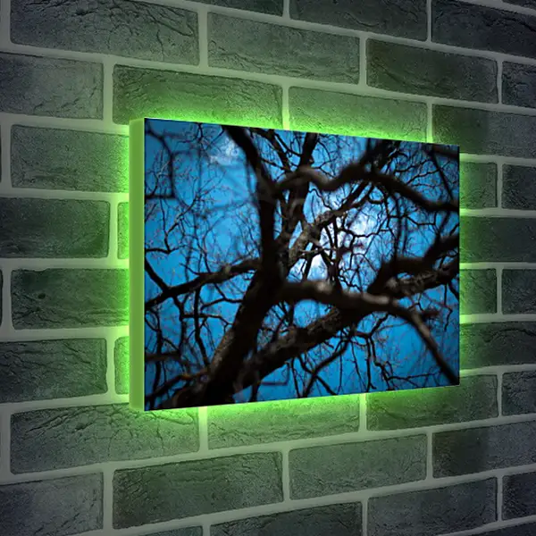 Лайтбокс световая панель - Весна