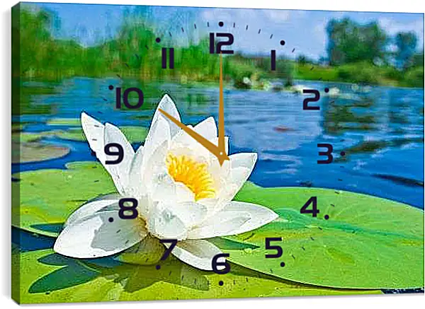 Часы картина - Красивая водяная лилия