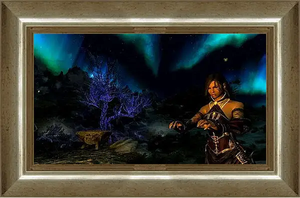 Картина в раме - The Elder Scrolls V: Skyrim
