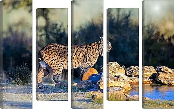 Модульная картина - Рысь