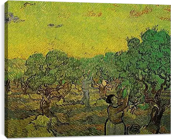 Постер на подрамнике - Olive Grove with Picking Figures. Винсент Ван Гог