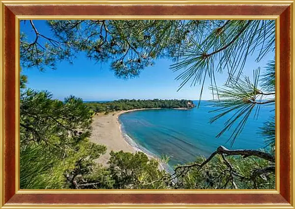 Картина в раме - Вид на пляж и море через ветки