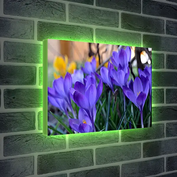 Лайтбокс световая панель - Весна