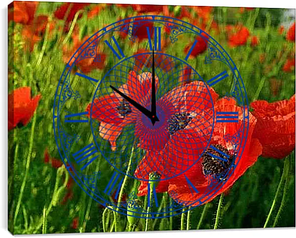 Часы картина - Маки в близи