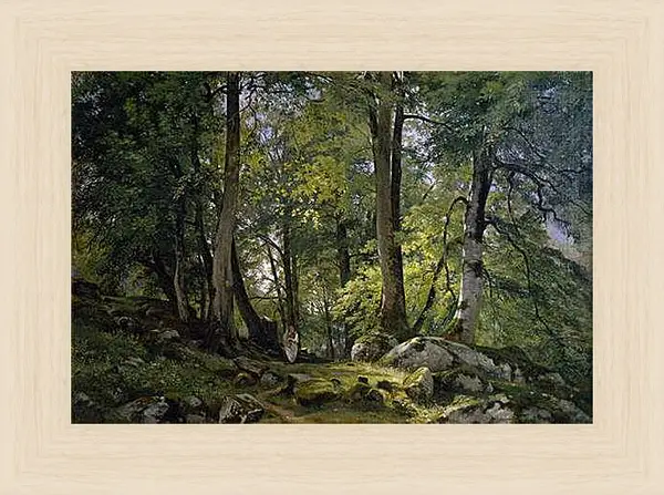 Картина в раме - Буковый лес в Швейцарии. Иван Шишкин