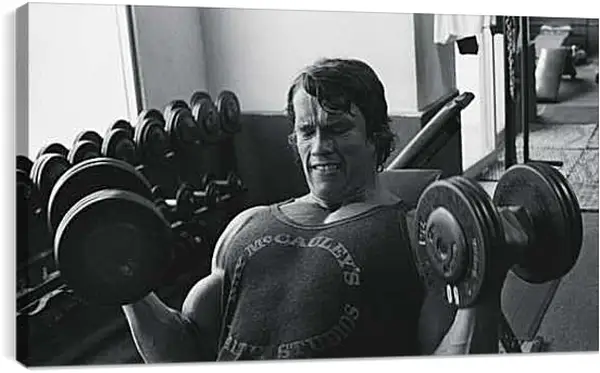 Постер на подрамнике - Арнольд Шварценеггер (Arnold Schwarzenegger)