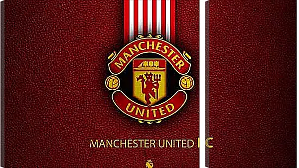 Модульная картина - Эмблема ФК Манчестер Юнайтед