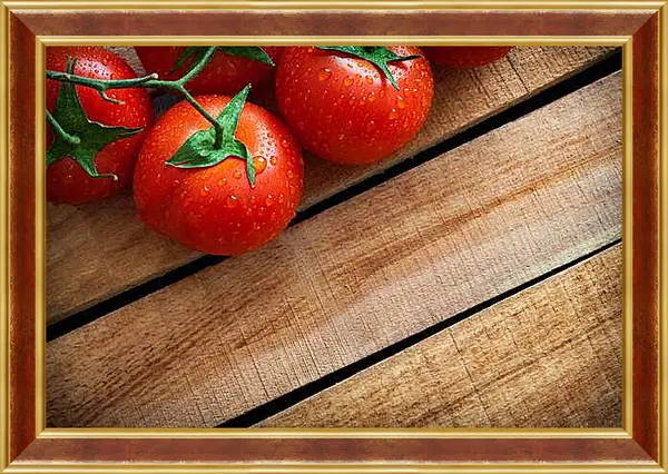 Картина в раме - Свежие томаты на ветке
