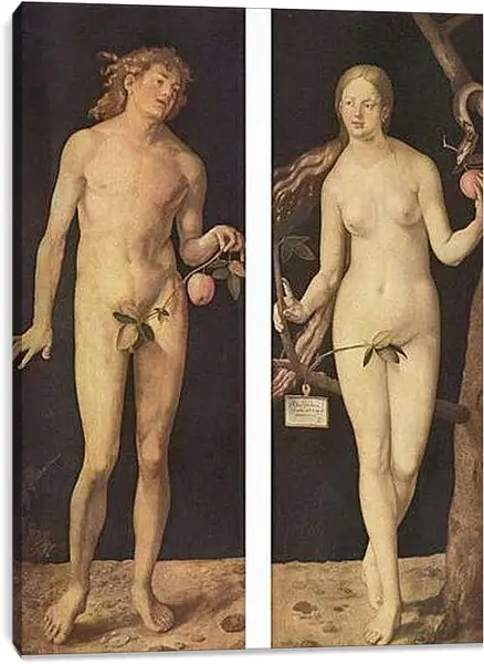 Постер на подрамнике - Adam and Eve. Адам и Ева. Альбрехт Дюрер