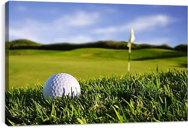 Постер на подрамнике - Мяч для гольфа на траве