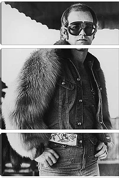 Модульная картина - Элтон Джон. Elton John