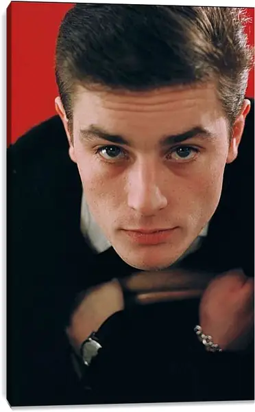 Постер на подрамнике - Ален Делон. Alain Delon