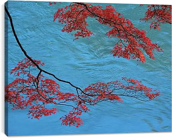 Постер на подрамнике - Осень