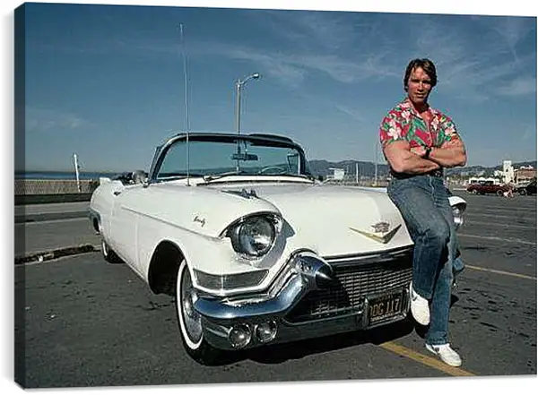 Постер на подрамнике - Арнольд Шварценеггер (Arnold Schwarzenegger)