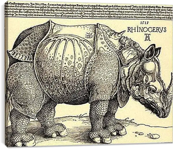 Постер на подрамнике - Rhinoceros. Носорог. Альбрехт Дюрер