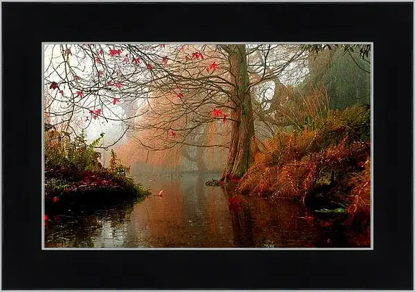 Картина в раме - Осень