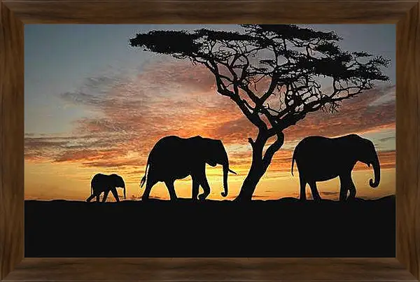 Картина в раме - Слоны