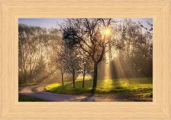 Картина в раме - Весна