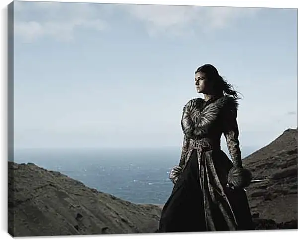 Постер на подрамнике - Ведьмак. The Witcher