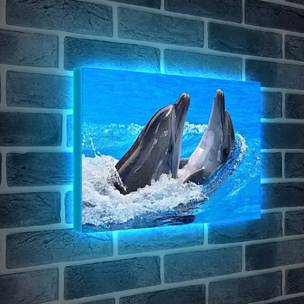 Лайтбокс световая панель - Дельфины