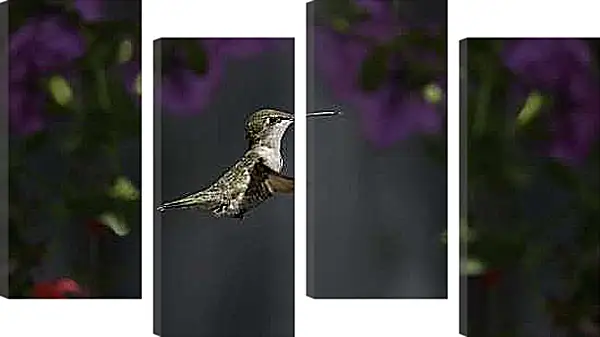 Модульная картина - Колибри
