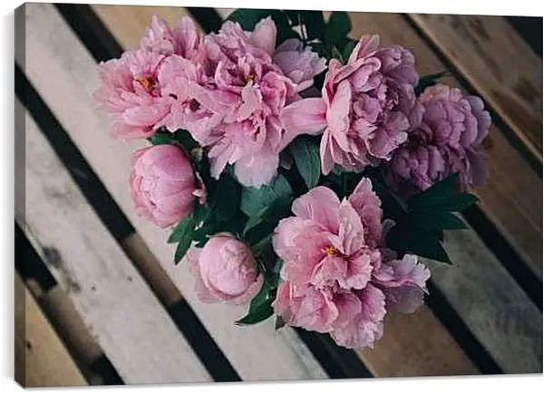 Постер на подрамнике - Пионы
