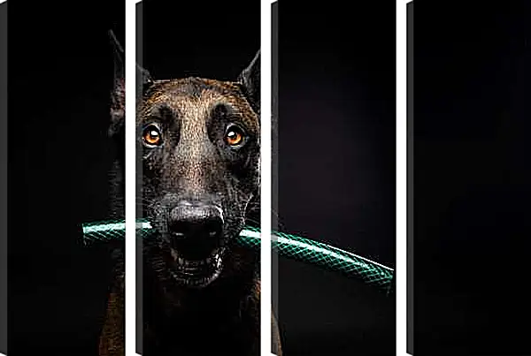 Модульная картина - Собака с палкой в зубах