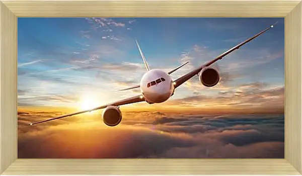 Картина в раме - Летящий самолет