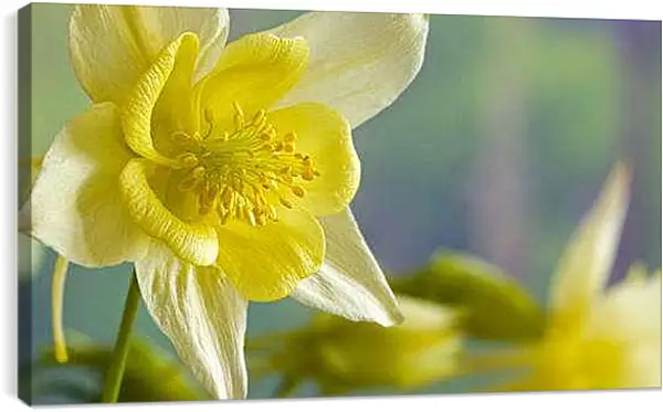 Постер на подрамнике - Весна