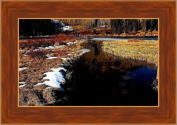 Картина в раме - Зима